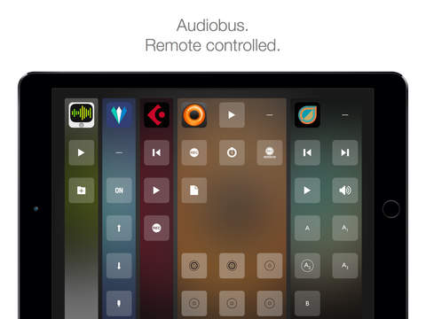 Screenshot histórico de Audiobus Remote
