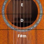 com.activefrequency.android.rockoutacousticpro0.png com.activefrequency.android.rockoutacousticpro0.png